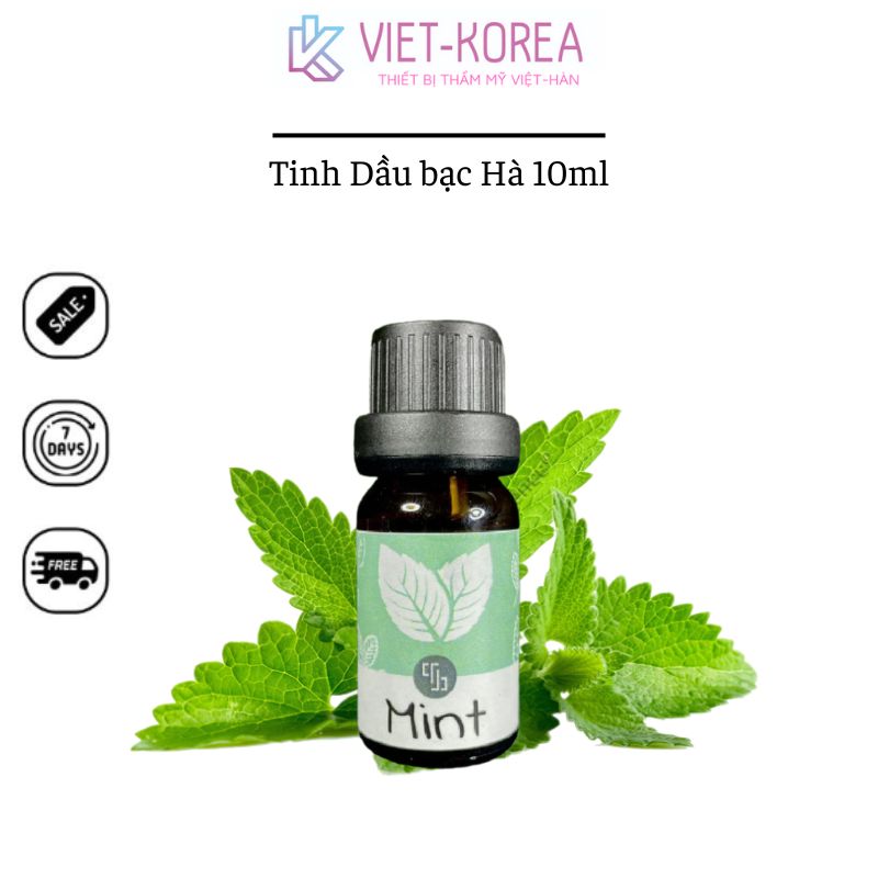 Tinh dầu thơm bạc hà nguyên chất 10ml chiết xuất từ thiên nhiên